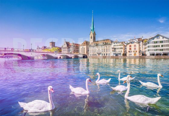 ارازنترین بلیط هواپیما تهران زوریخ